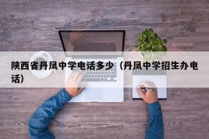 陕西省丹凤中学电话多少（丹凤中学招生办电话）